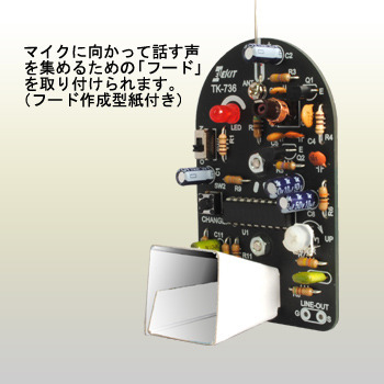 FM VOICE CHANGER
